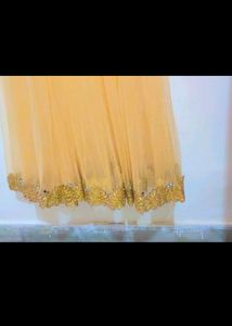 Nude Golden Partywear Gown For 32 Bust