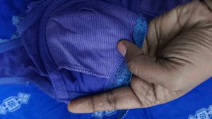 Lace Bra - Pink Embroidery Detail