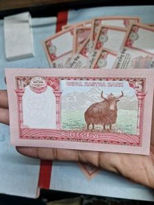 20 Pcs Nepalese 5 Rupee Notes