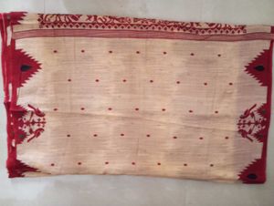 Cotton Sari