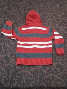 Cute Kids Hooded Sweater