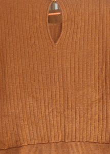 Elegant Brownish Mustard Dress