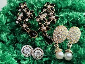 Exquisite Earrings