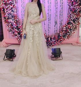 A Beautiful Ethnic Gown