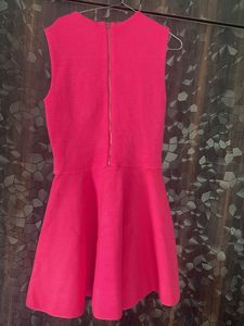 Beautiful Skater Original Ted Baker Dress