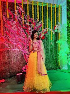 Lehenga Choli / Wedding Outfit / Ethnic Wear