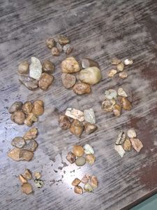 Decorative River Rocks