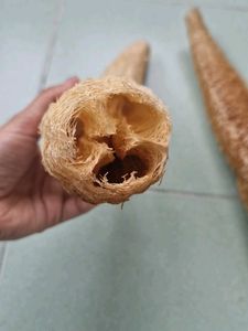 Natural Loofah Sponges (Set of 2)