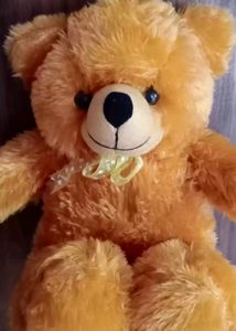 2 ft Teddy