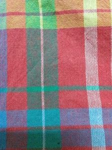 Zudio Plaid Crop Top