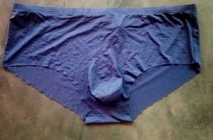 Mens Silk Seamless Pouch Briefs