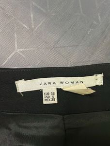Zara Pen Skirt