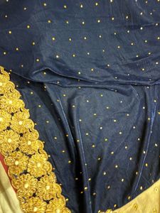 Elegant Embellished Saree