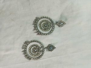 Elegant Silver Earrings