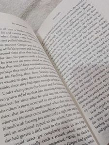 The Metamorphosis by Franz Kafka