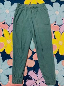Roaster Women Green Solid Cotton Jogger’s