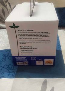 Vibrant Petunia Flower Grow Kit