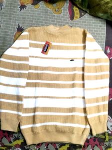 Striped Pullover Sweater