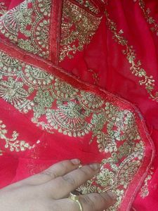 Jari Work Festive Saree &amp; Blouse