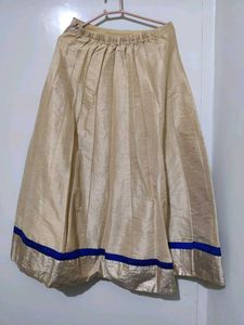 Ethnic Skirt