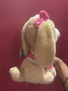 Dog Plush Toy