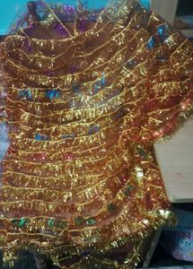 Sparkling Bridal Dupatta