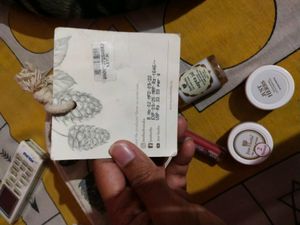 Just Herbs Makeup Kit