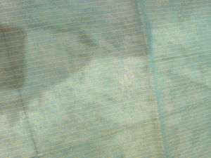 Green saree with multicolour details and glitter s