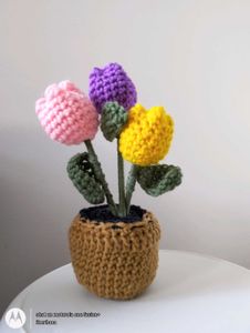 Tulip Buds Crochet Flower Pot