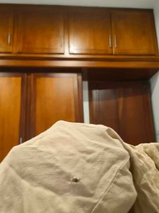 Indo Western Beige Shirt