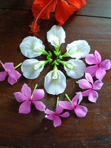 Combo Three Flowers Saplings