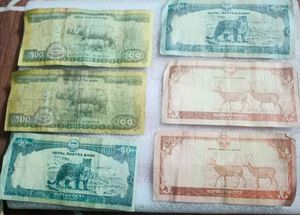 Nepali Currency 360 Rs