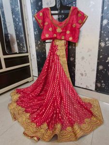 Gorgeous Pink Embroidered Saree with Blouse