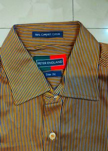 Striped Casual Peter England Half Shirt