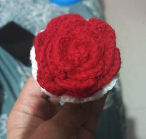 Vallantin Day Special Rose Bucket