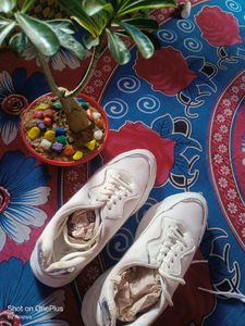 Woman White Sport Shoes 👟