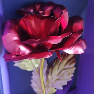 24k gold plated red rose