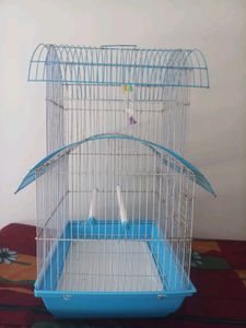 🐦 Brid Cage