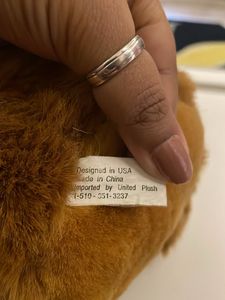 Cute Brown Teddy Bear