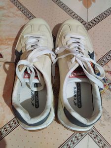 Shoes 7no