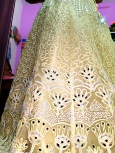 Embroidered Lehenga Choli