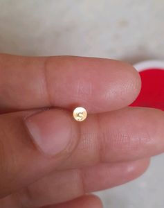 Beautiful New Ring Type Earrings Small