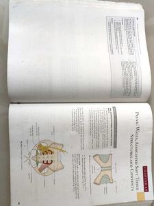 Anatomy Textbook: Abdomen and Lower Limb, 3rd Edit