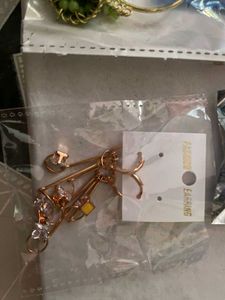 Earrings