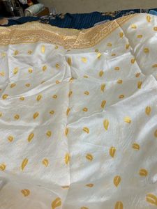 Beautiful White Golden Sarre