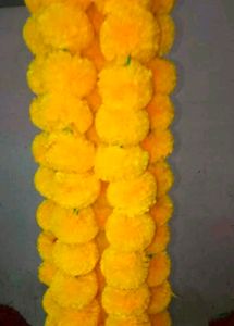 Artificial Flower5 String Multi Colour