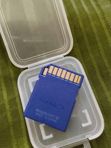 SanDisk 1GB SD Card