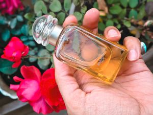 Hermes Le Jardin de Monsieur Li