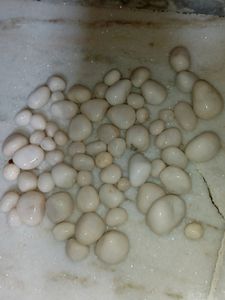 White Pebbles For Decoration