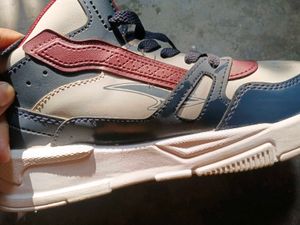 ASIAN brand Stylish Sneakers for men